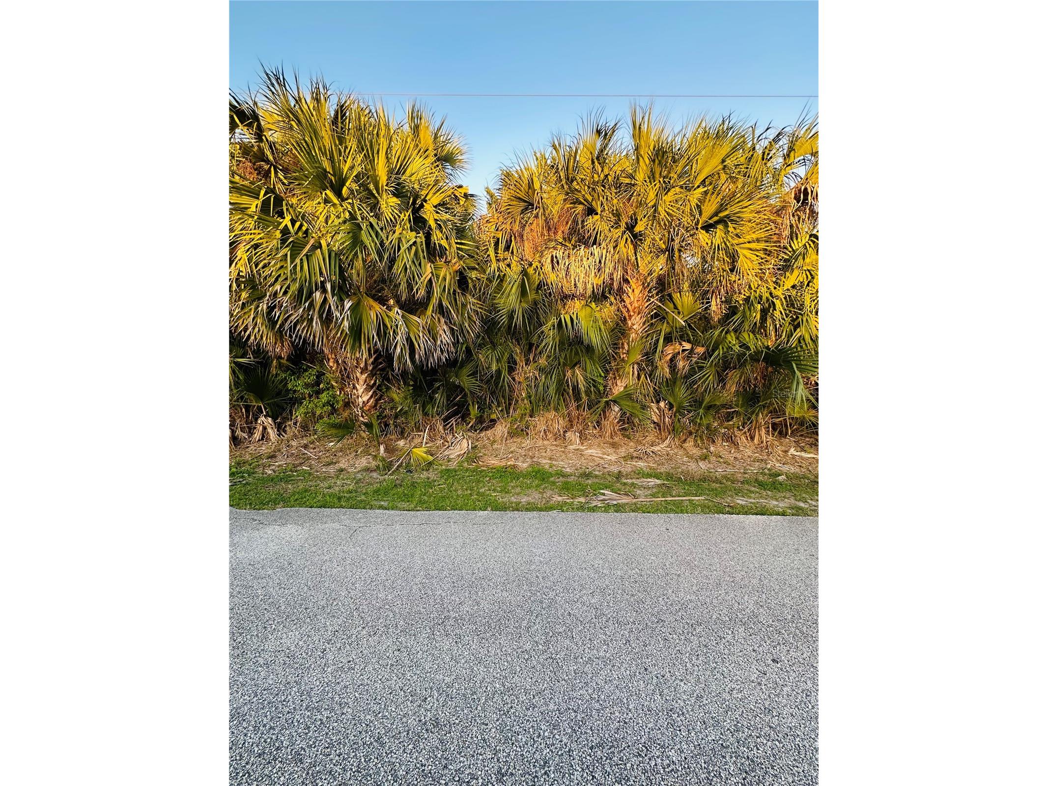 60 Coral Reef Court N Palm Coast FL 32137 FC316862 image14