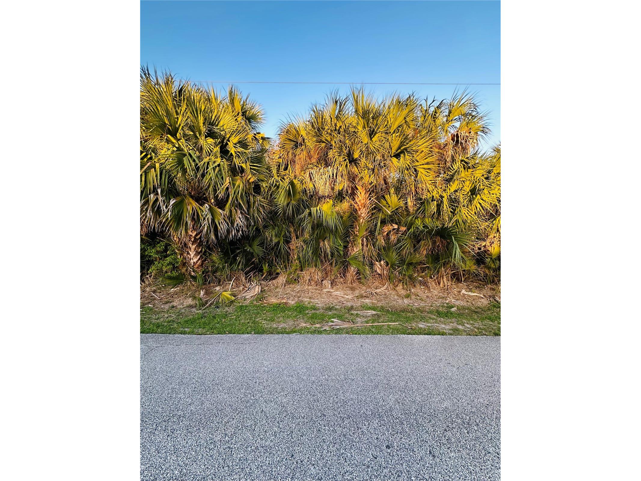 60 Coral Reef Court N Palm Coast FL 32137 FC316862 image2