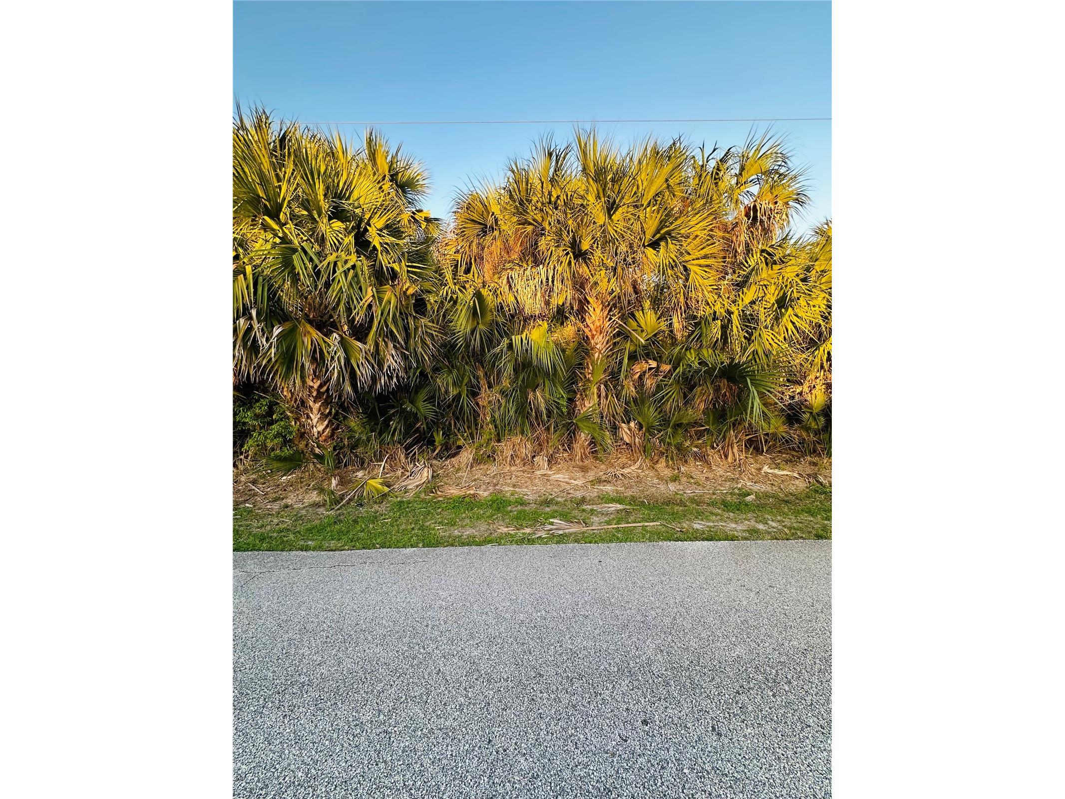 60 Coral Reef Court N Palm Coast FL 32137 FC316862 image3