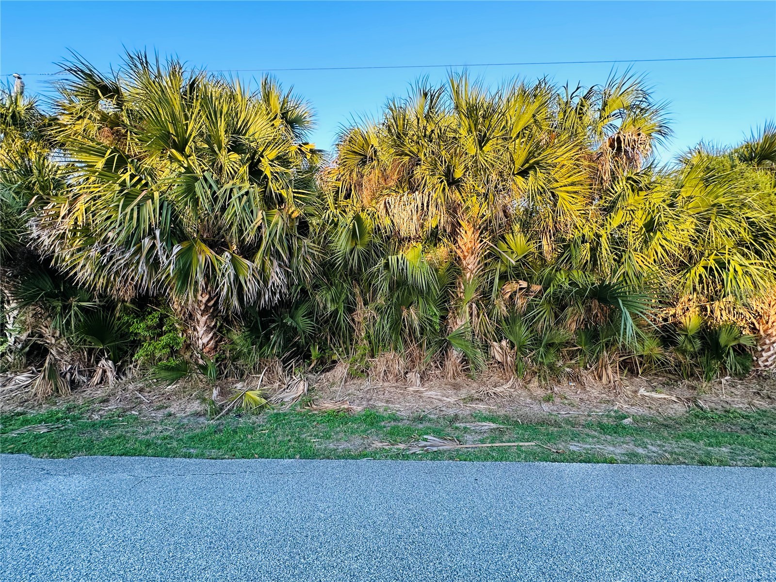 60 Coral Reef Court N Palm Coast FL 32137 FC316862 image4