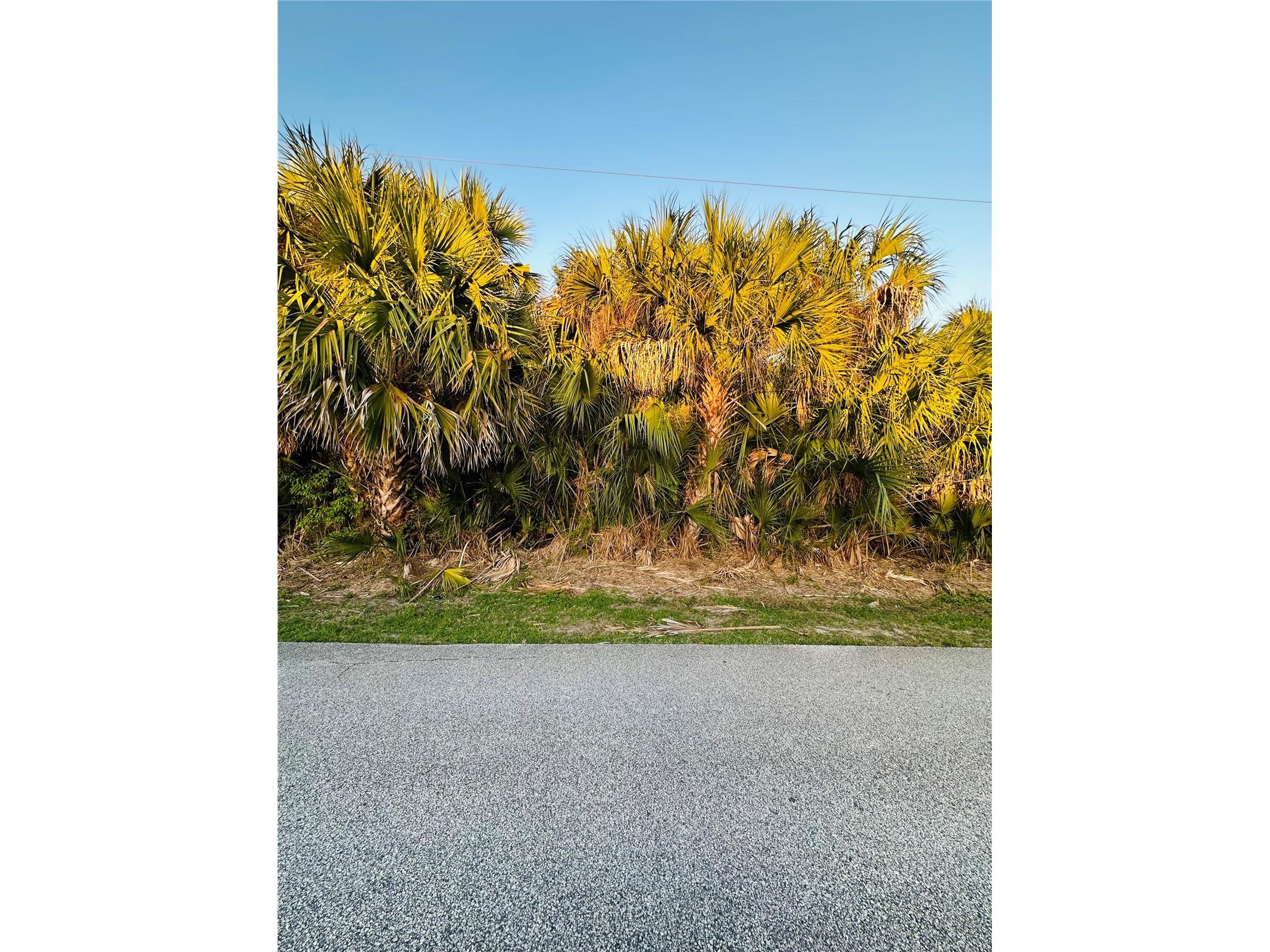 60 Coral Reef Court N Palm Coast FL 32137 FC316862 image8