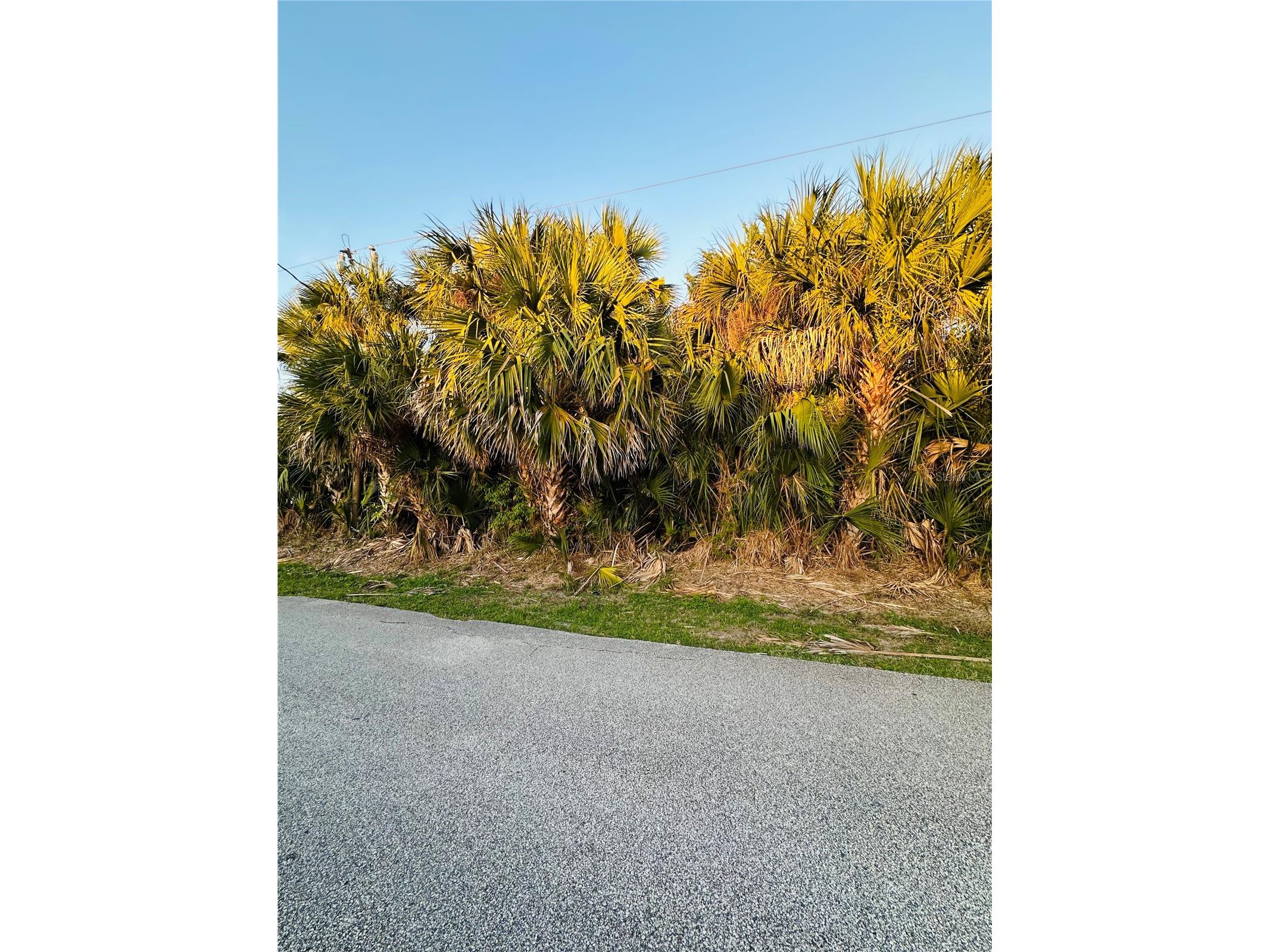 60 Coral Reef Court N Palm Coast FL 32137 FC316862 image9