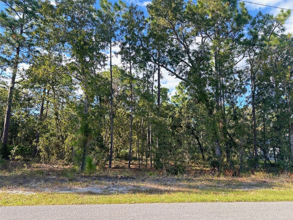 60 Daisy Street Homosassa FL 34446 W7869281 image1