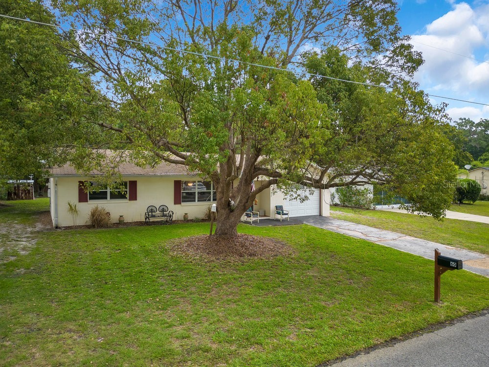 60 Dogwood Trail Debary FL 32713 O6111190 image1