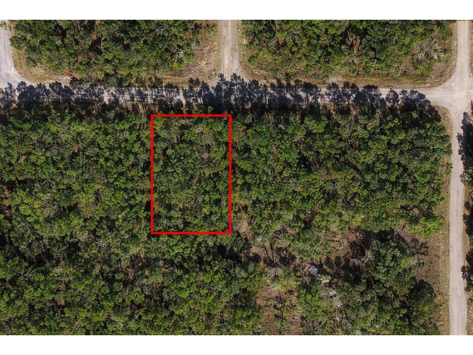 60 E Falcon Street Dunnellon FL 34434 O6384123 image2