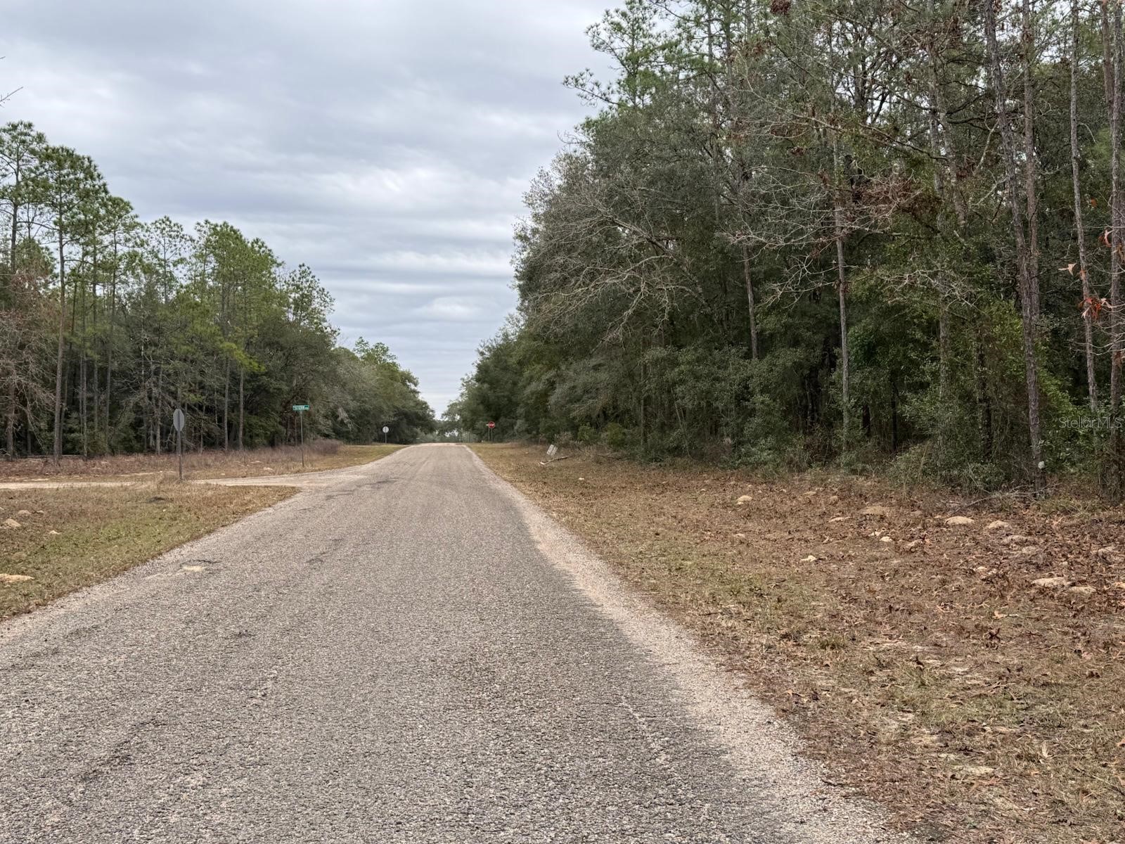 60 E Falcon Street Dunnellon FL 34434 O6384123 image3