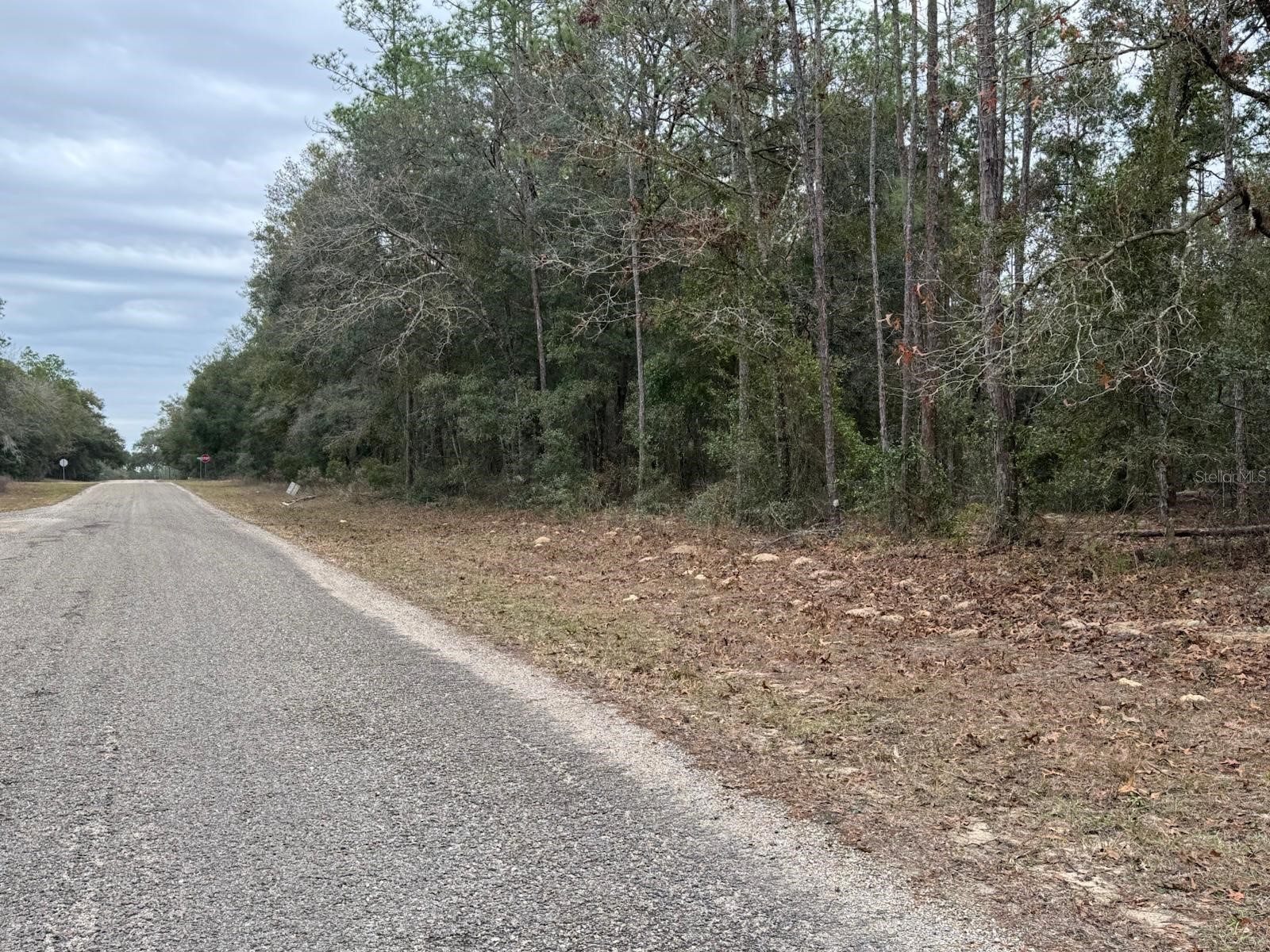 60 E Falcon Street Dunnellon FL 34434 O6384123 image4