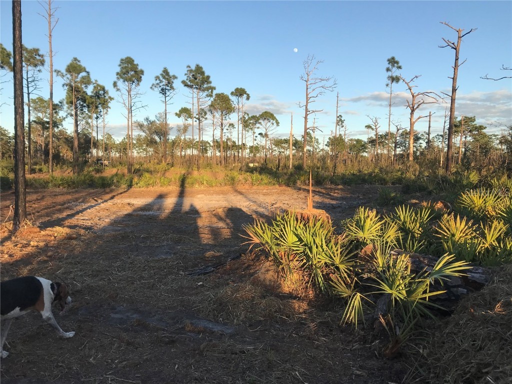 60 E Street Frostproof FL 33843 L4956026 image1