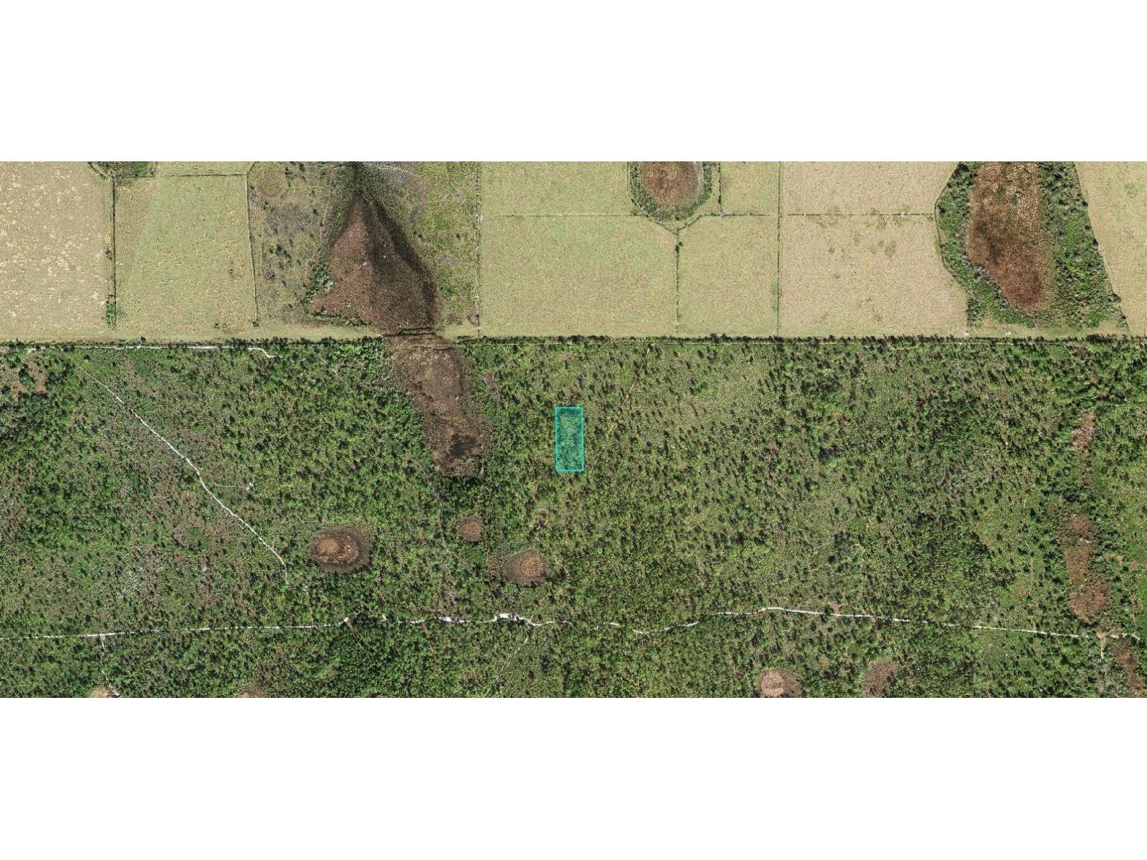 60 E Street Lake Wales FL 33898 A4674862 image2