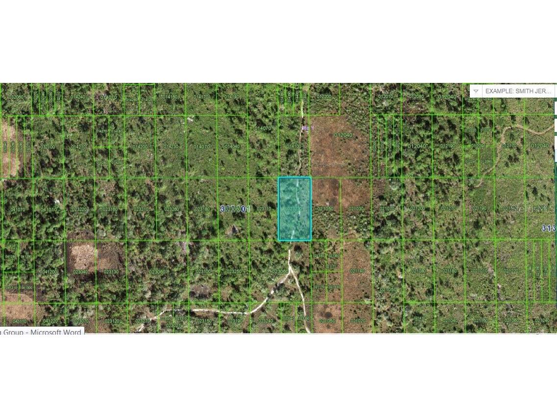 60 E Street Lake Wales FL 33898 O6227321 image1