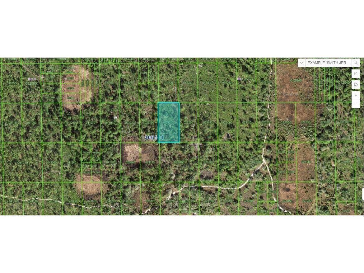 60 E Street Lake Wales FL 33898 O6267602 image1