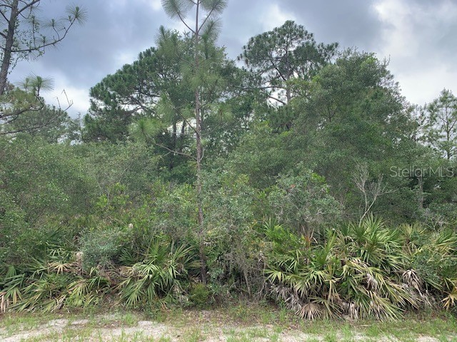 60 Fyfe Avenue Debary FL 32713 O6114148 image1