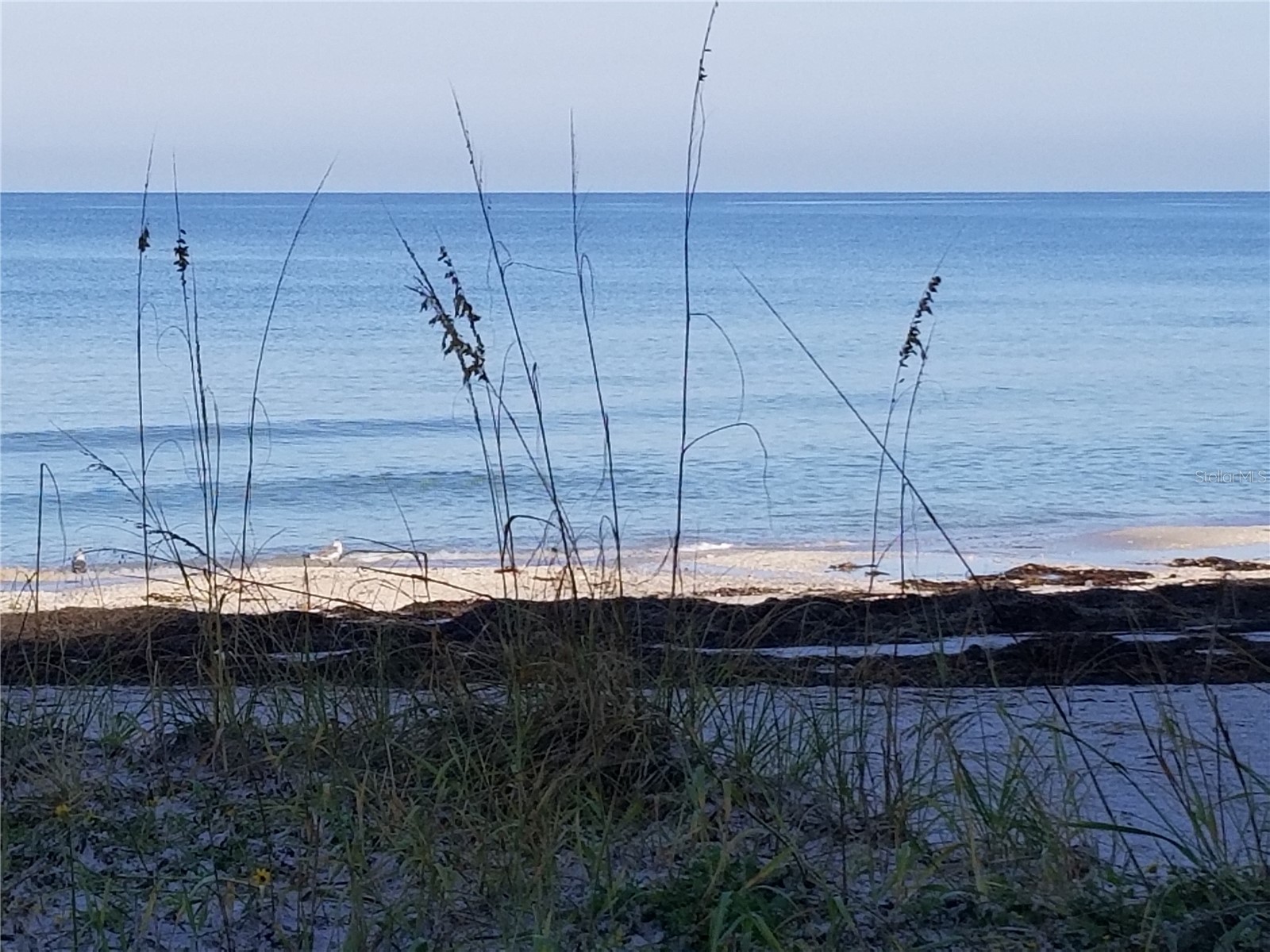 60 Gulf Boulevard #201 Indian Rocks Beach FL 33785 - GULF TB8472207 image5