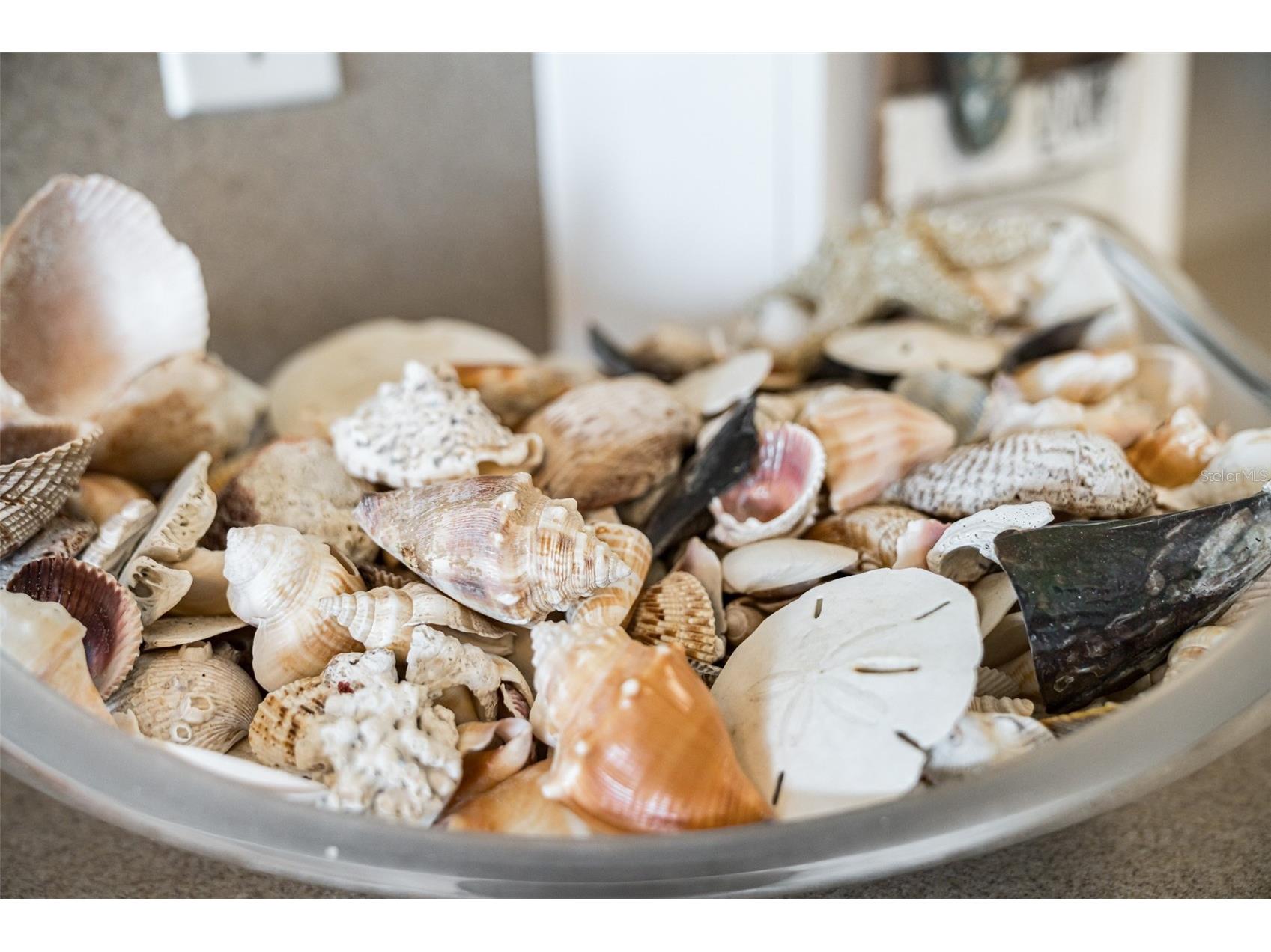 60 Gulf Boulevard #203 Indian Rocks Beach FL 33785 TB8473611 image42