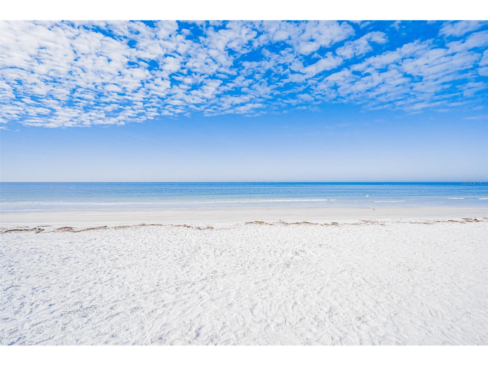 60 Gulf Boulevard #203 Indian Rocks Beach FL 33785 TB8473611 image53