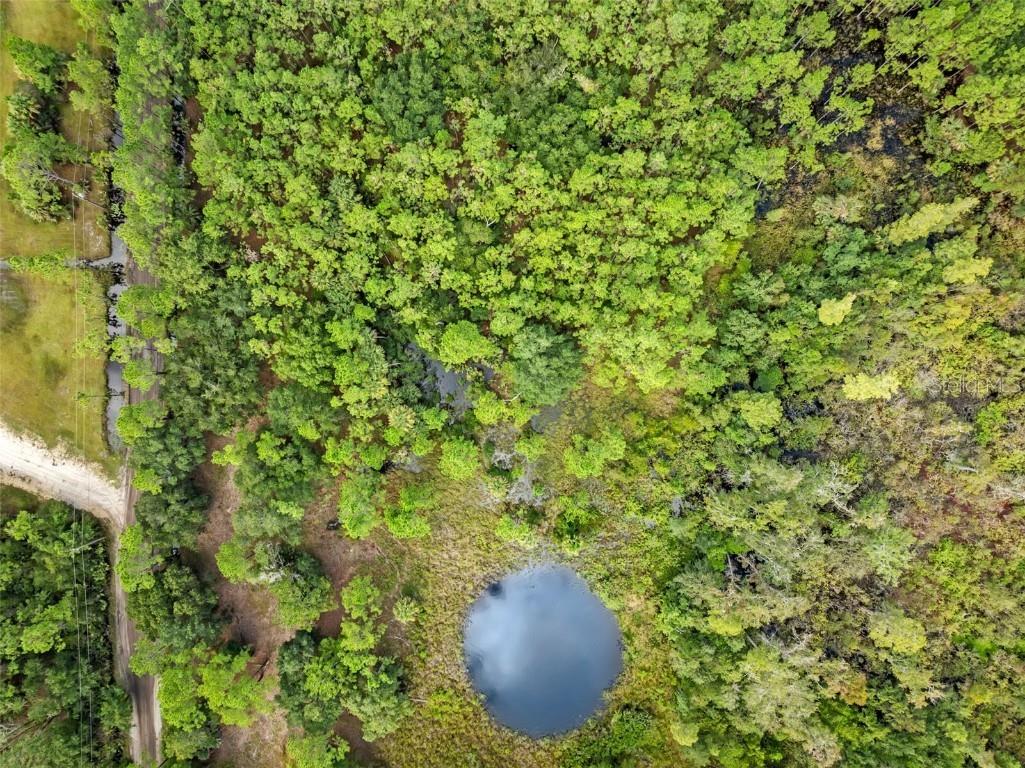 60 Natalies Lane Ormond Beach FL 32174 O6341942 image12