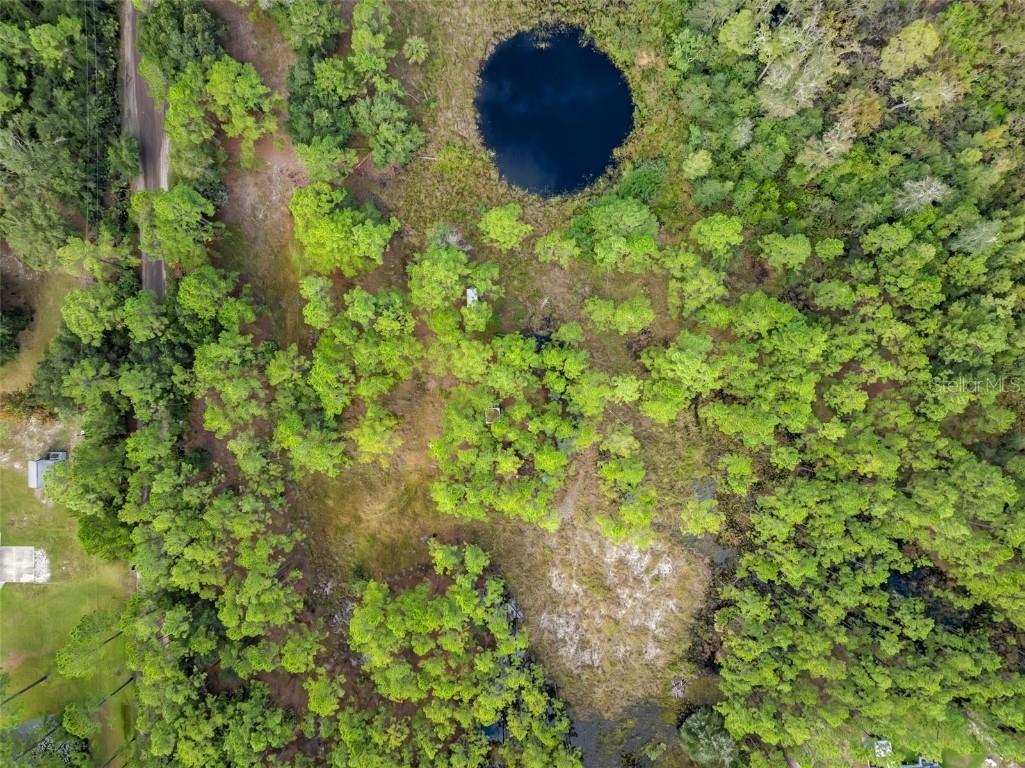 60 Natalies Lane Ormond Beach FL 32174 O6341942 image13