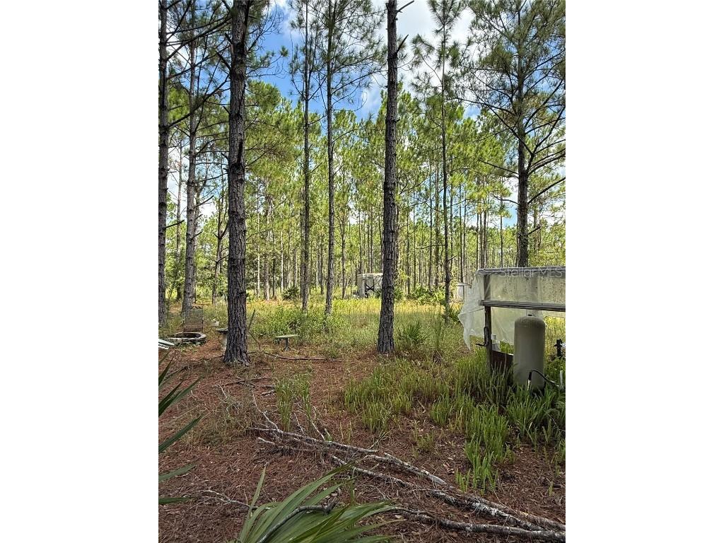 60 Natalies Lane Ormond Beach FL 32174 O6341942 image14