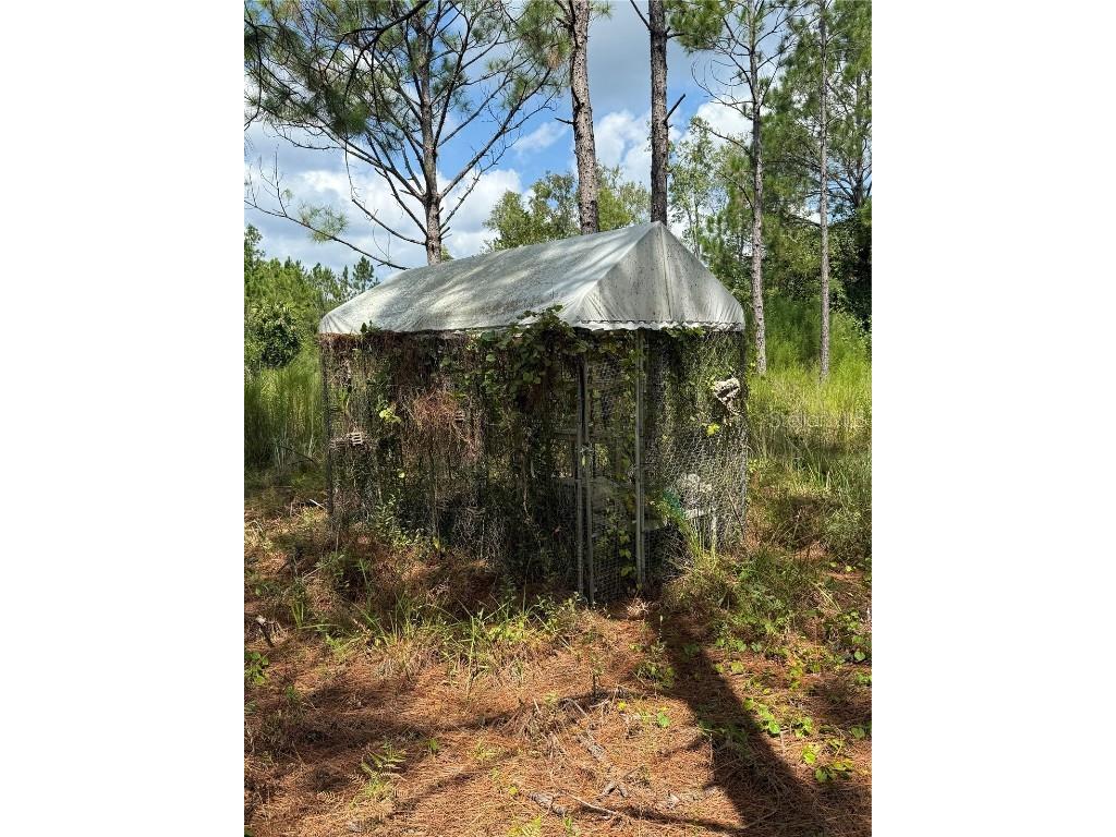 60 Natalies Lane Ormond Beach FL 32174 O6341942 image18