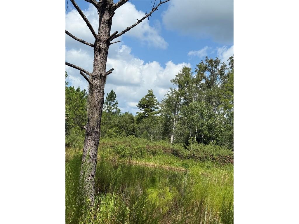 60 Natalies Lane Ormond Beach FL 32174 O6341942 image20