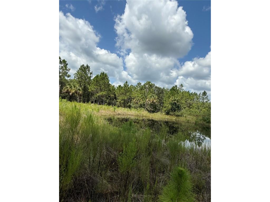 60 Natalies Lane Ormond Beach FL 32174 O6341942 image21