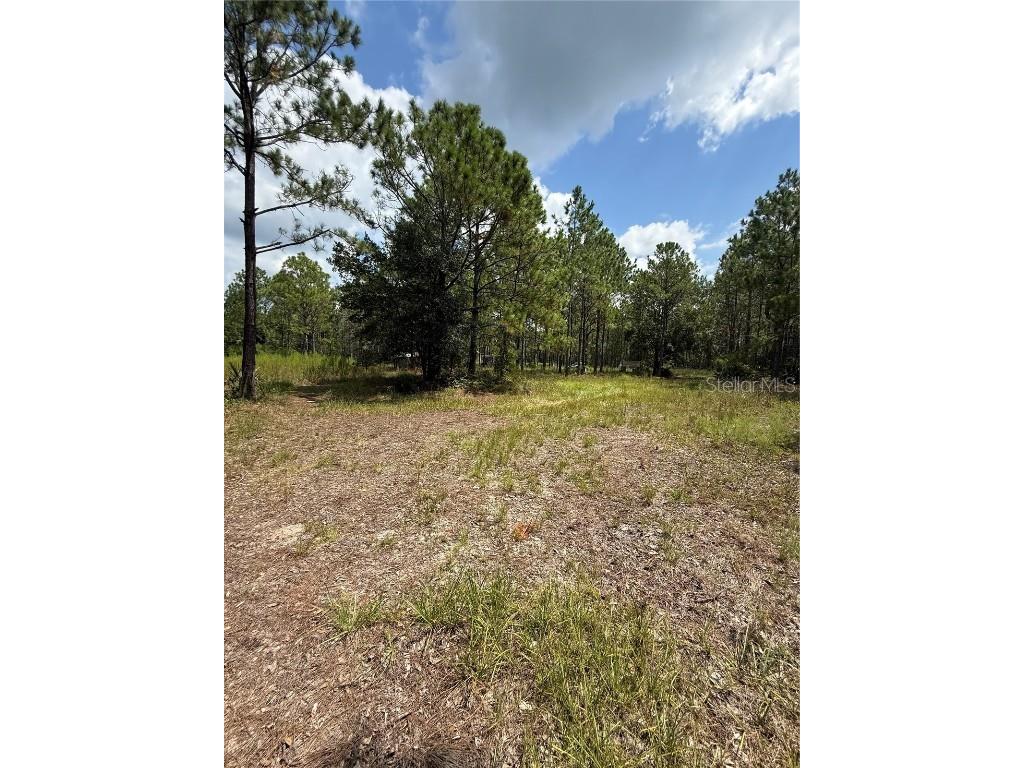 60 Natalies Lane Ormond Beach FL 32174 O6341942 image24