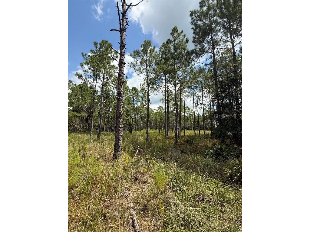 60 Natalies Lane Ormond Beach FL 32174 O6341942 image25