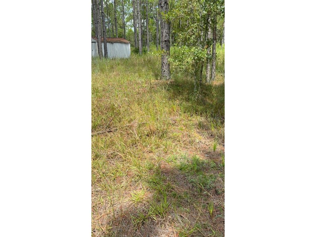 60 Natalies Lane Ormond Beach FL 32174 O6341942 image26