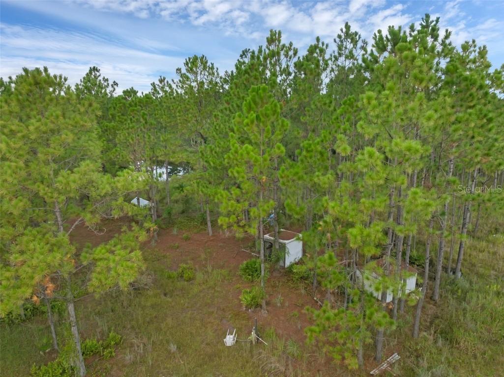 60 Natalies Lane Ormond Beach FL 32174 O6341942 image8