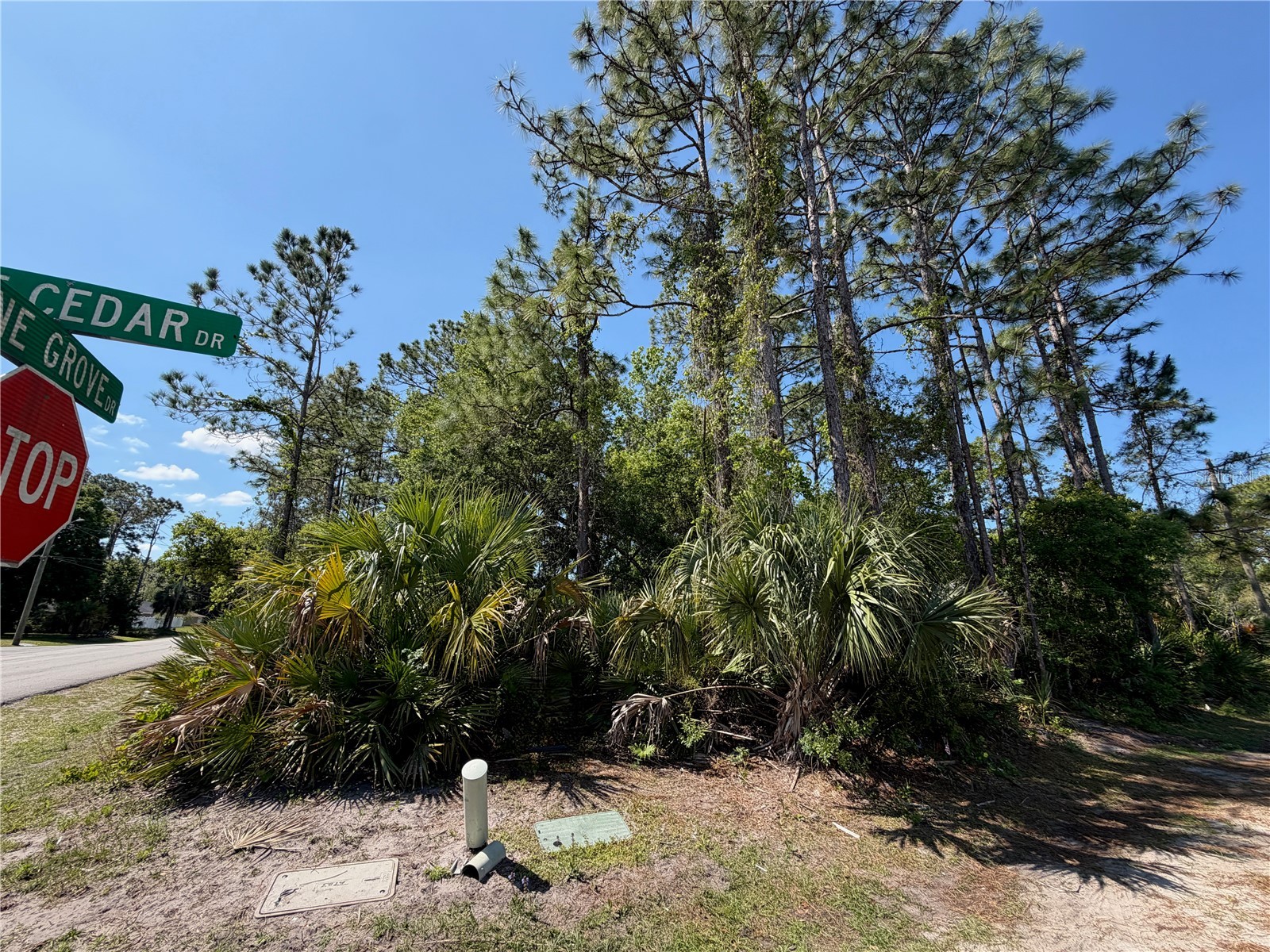 60 Pine Cedar Drive Palm Coast FL 32164 FC317899 image3
