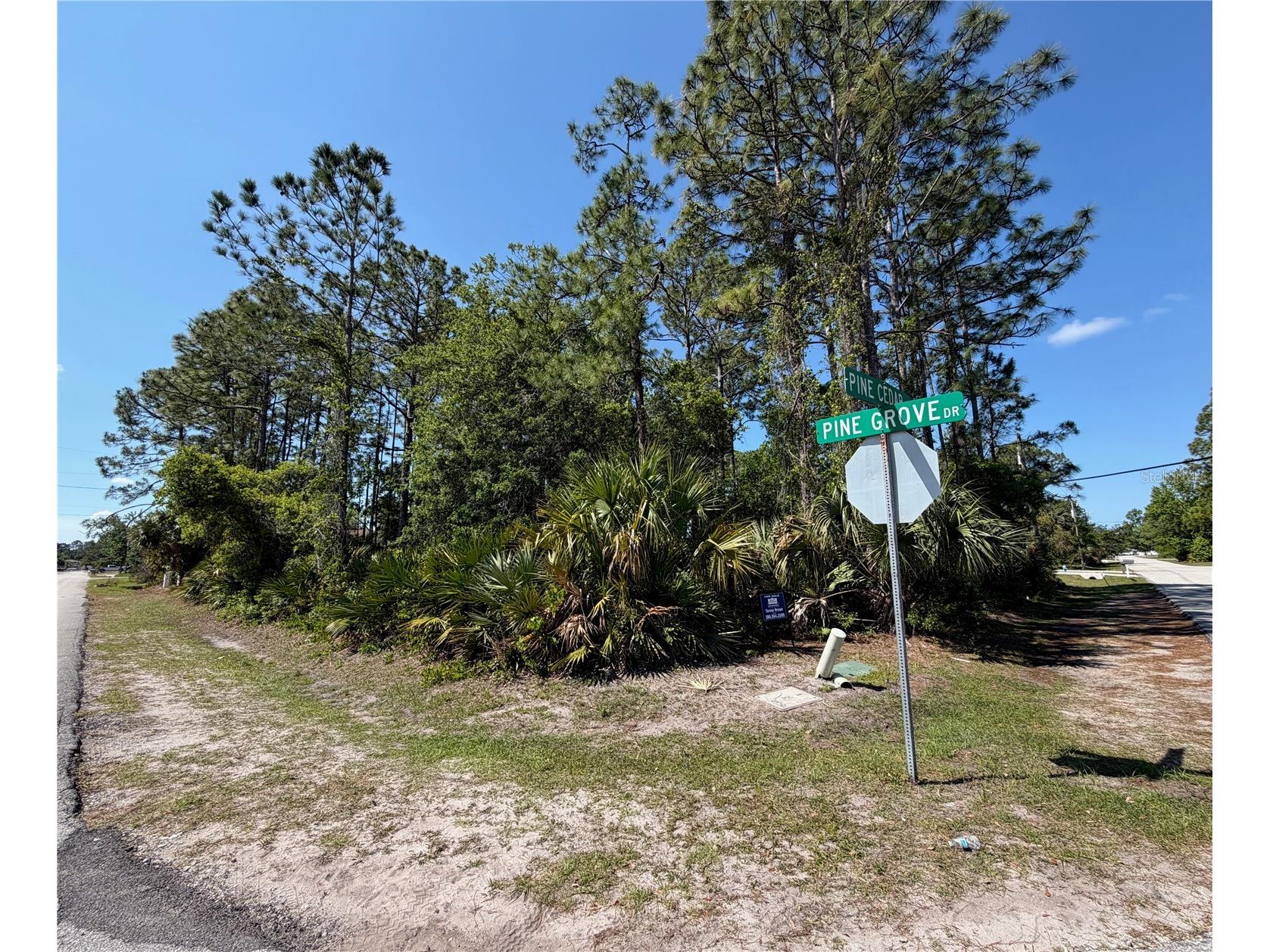 60 Pine Cedar Drive Palm Coast FL 32164 FC317899 image4