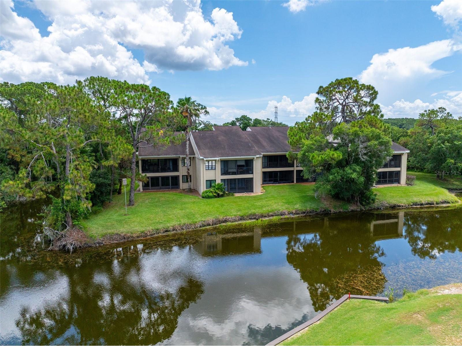 60 St Andrews Place #60 Oldsmar FL 34677 TB8526165 image10