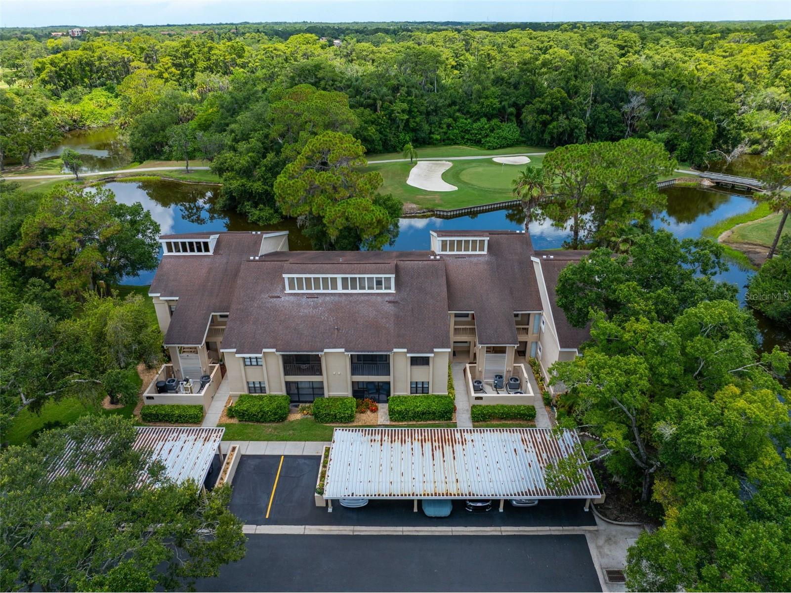 60 St Andrews Place #60 Oldsmar FL 34677 TB8526165 image30