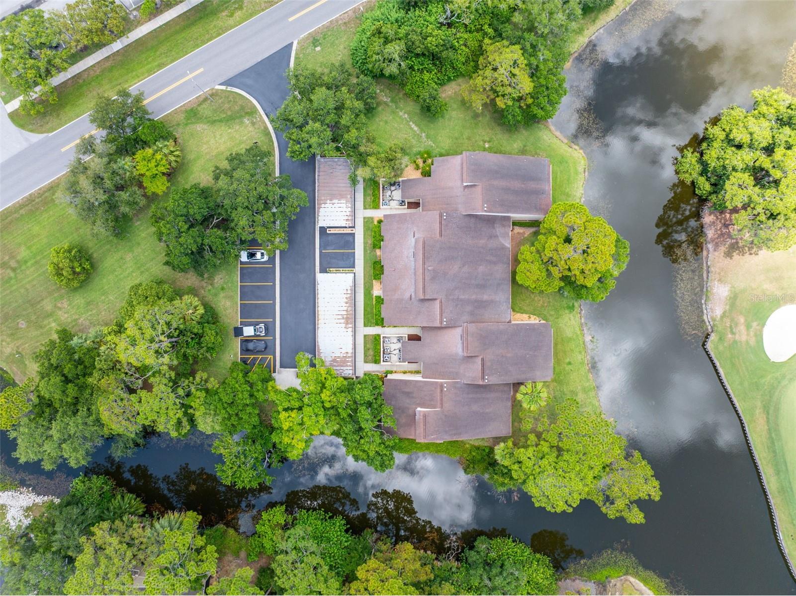 60 St Andrews Place #60 Oldsmar FL 34677 TB8526165 image31