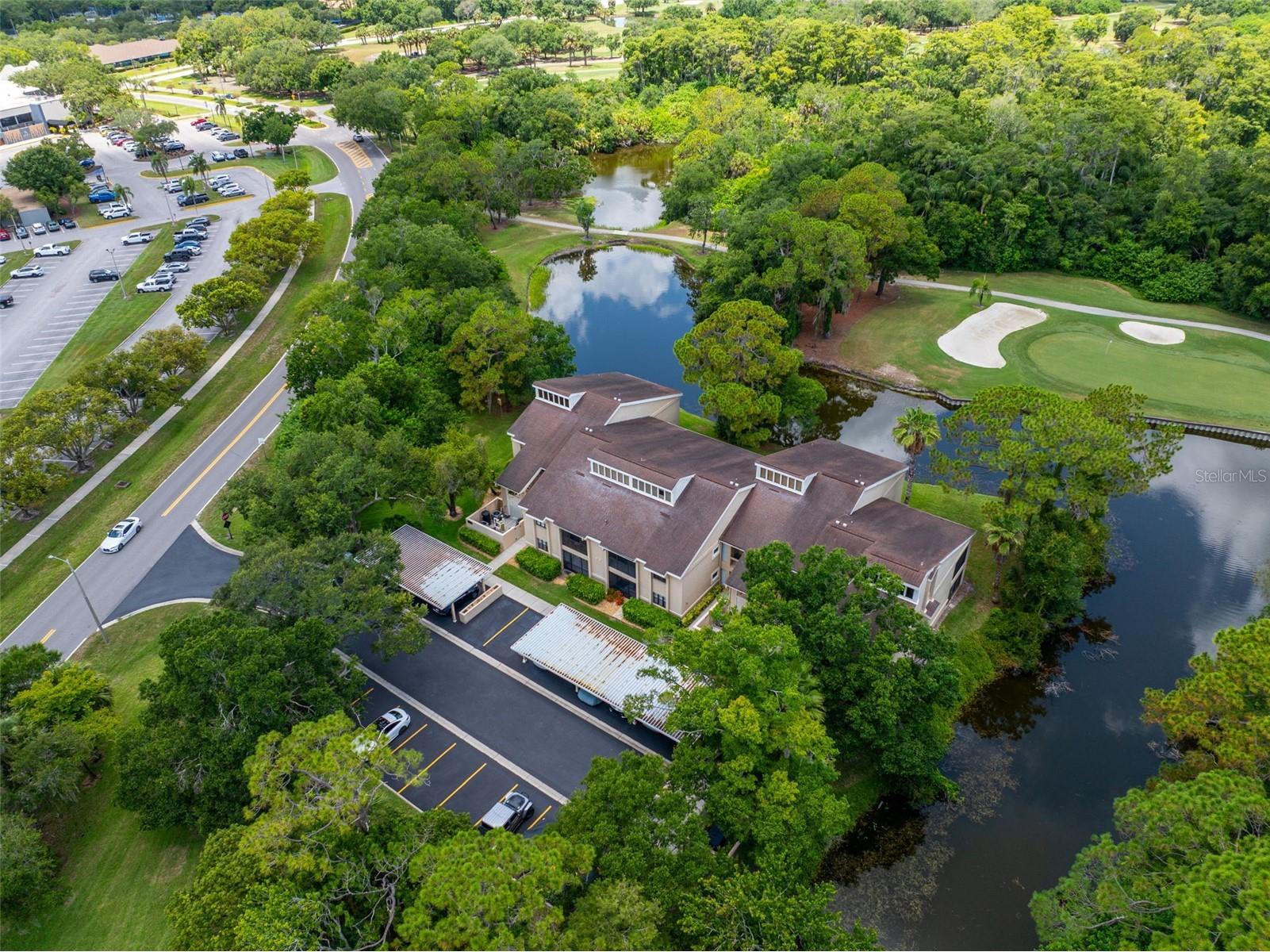 60 St Andrews Place #60 Oldsmar FL 34677 TB8526165 image32