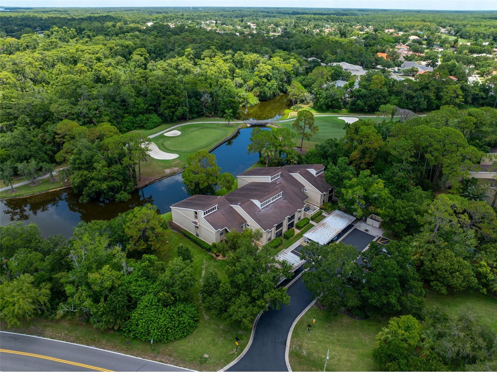 60 St Andrews Place #60 Oldsmar FL 34677 TB8526165 image33