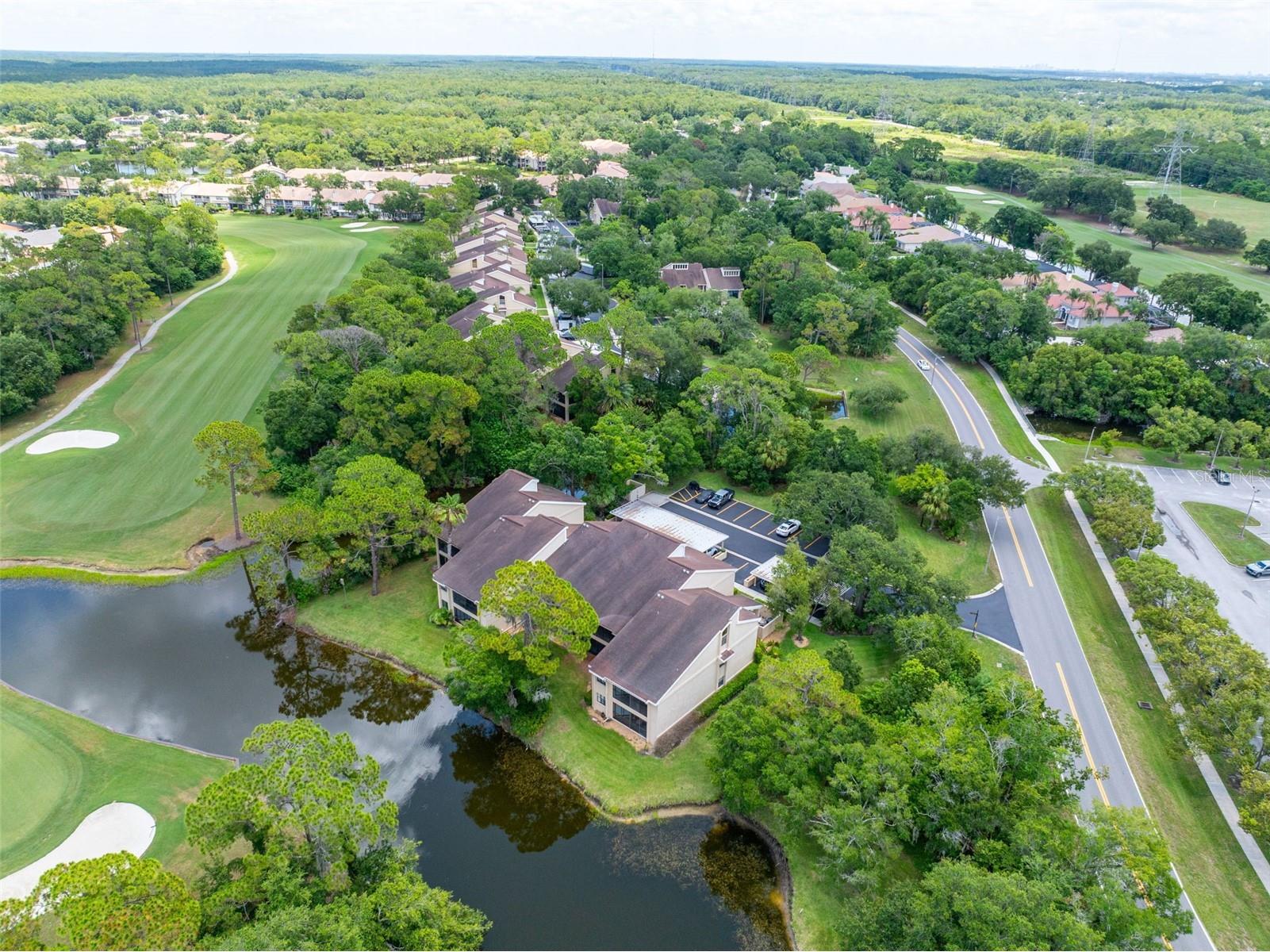 60 St Andrews Place #60 Oldsmar FL 34677 TB8526165 image34