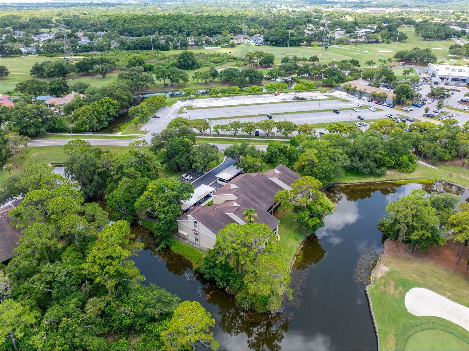 60 St Andrews Place #60 Oldsmar FL 34677 TB8526165 image35