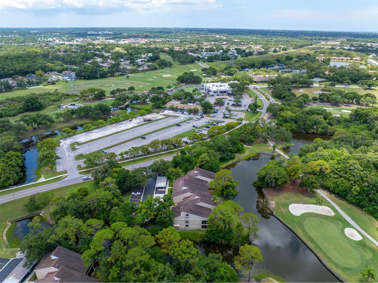 60 St Andrews Place #60 Oldsmar FL 34677 TB8526165 image36