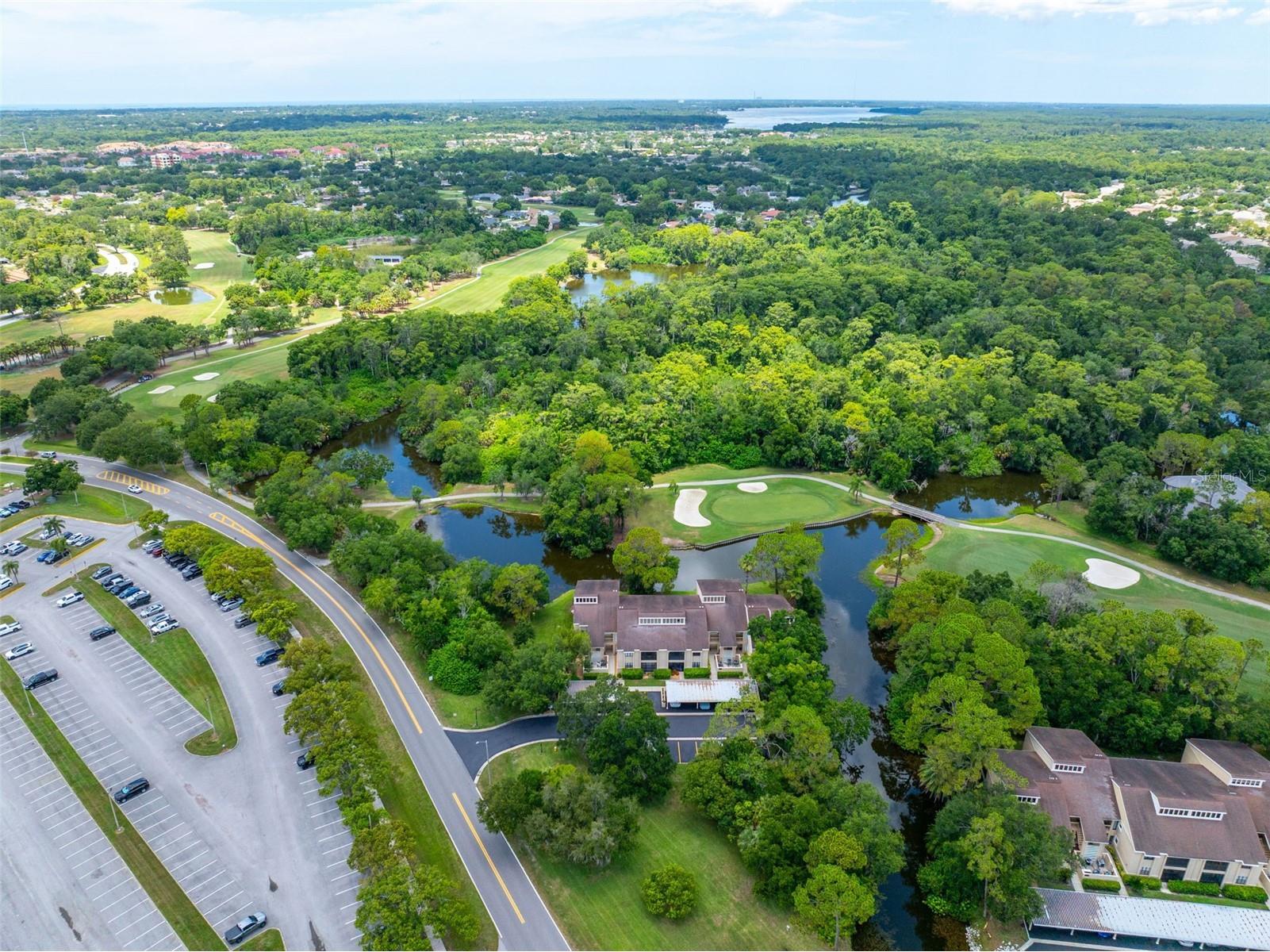 60 St Andrews Place #60 Oldsmar FL 34677 TB8526165 image37