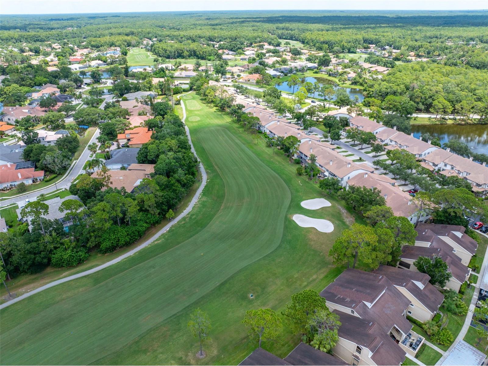 60 St Andrews Place #60 Oldsmar FL 34677 TB8526165 image38