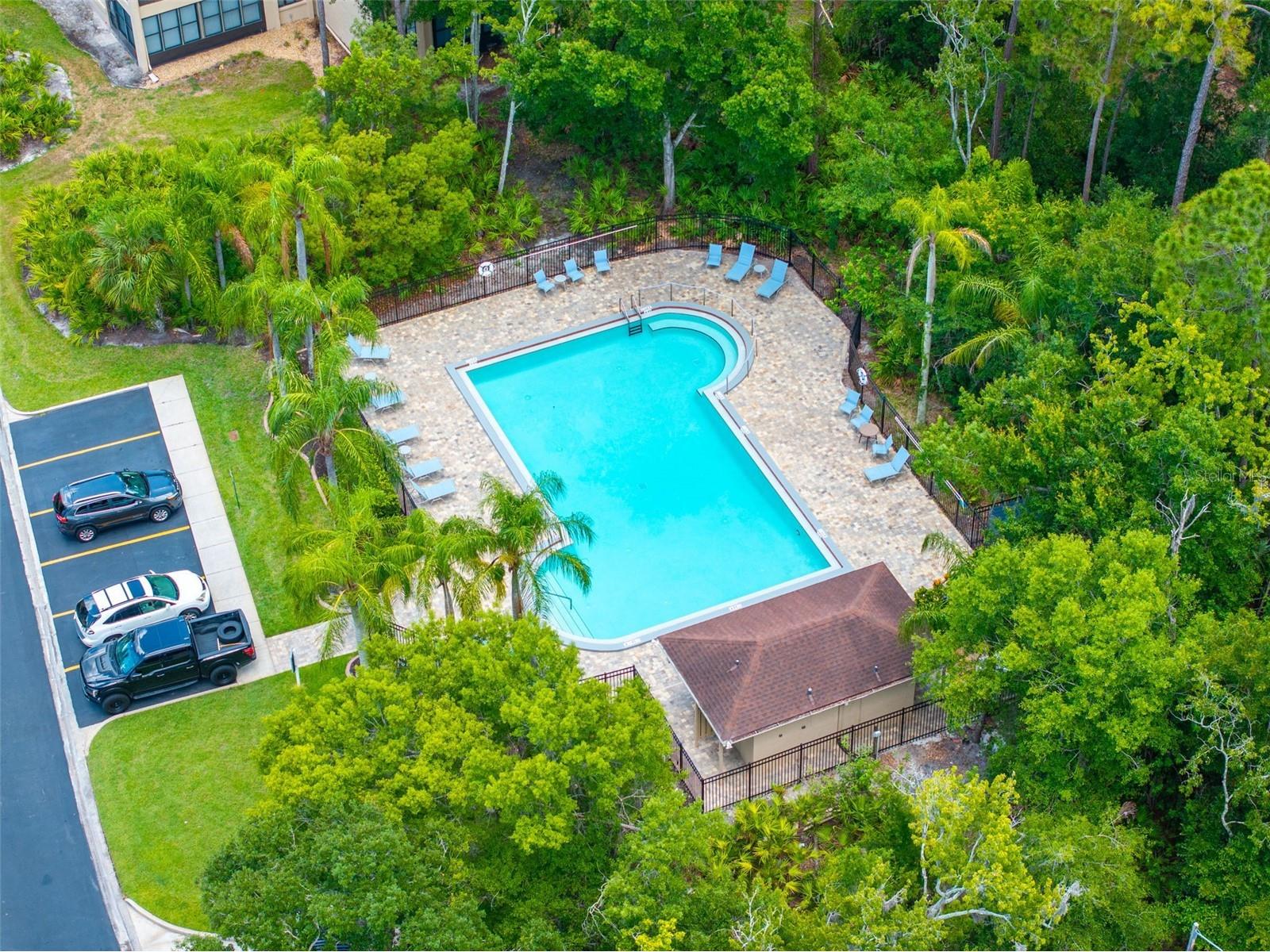 60 St Andrews Place #60 Oldsmar FL 34677 TB8526165 image39