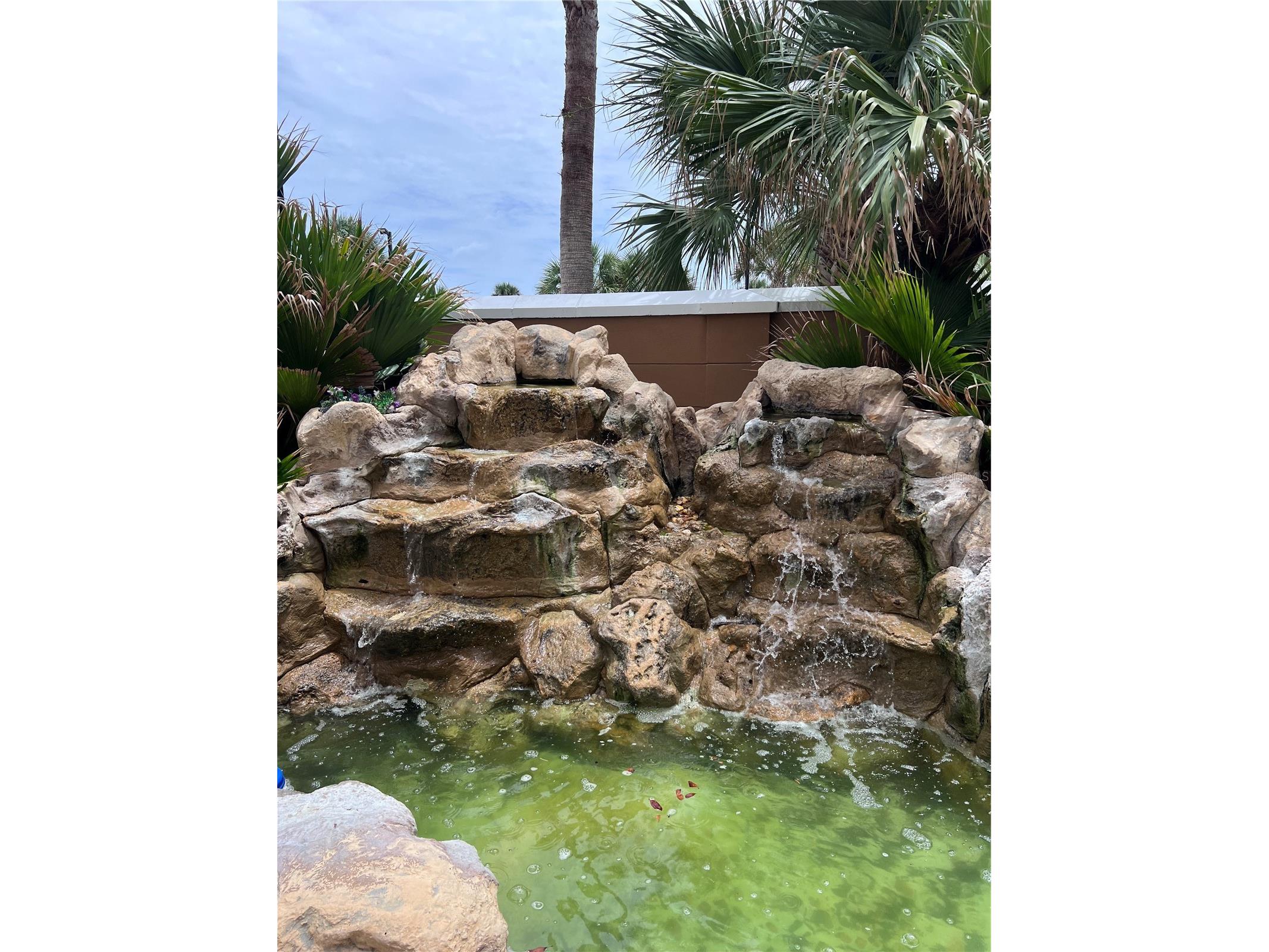 60 Surfview Drive #206 Palm Coast FL 32137 FC319285 image28