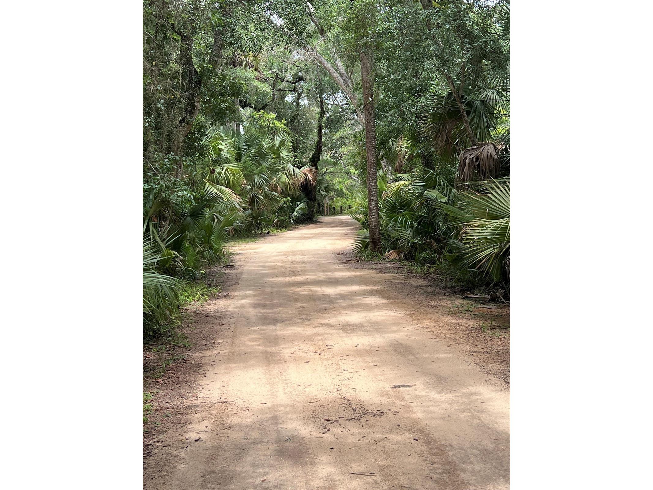 60 Surfview Drive #206 Palm Coast FL 32137 FC319285 image61