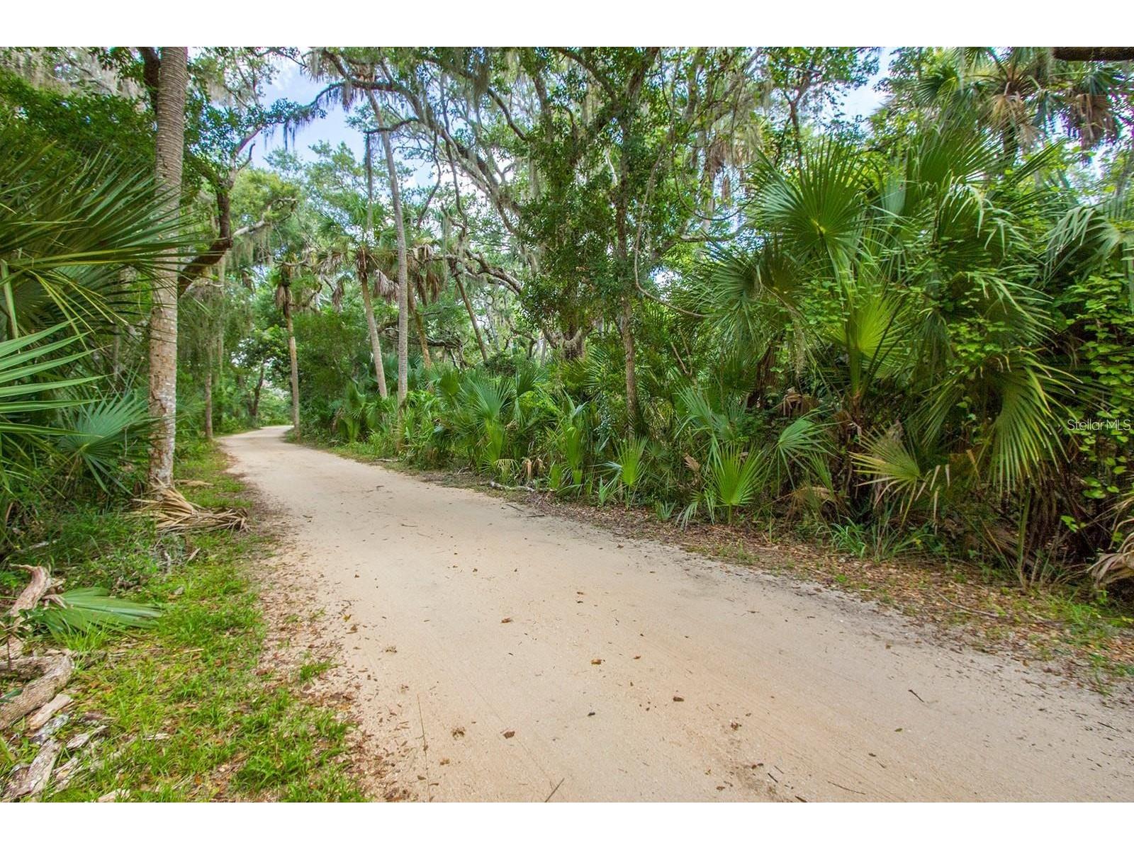 60 Surfview Drive #209 Palm Coast FL 32137 FC317359 image49