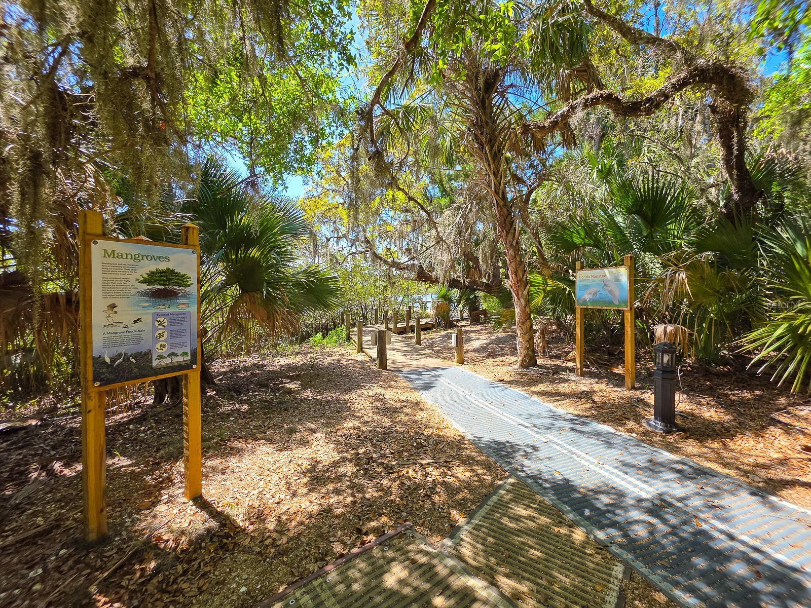 60 Surfview Drive #209 Palm Coast FL 32137 FC317359 image50