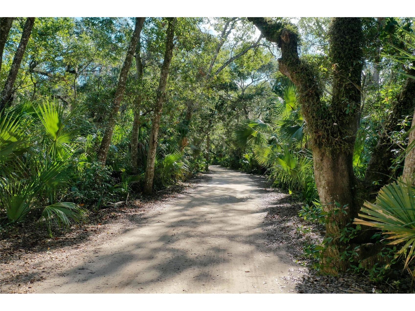 60 Surfview Drive #214 Palm Coast FL 32137 - ATLANTIC FC319753 image71