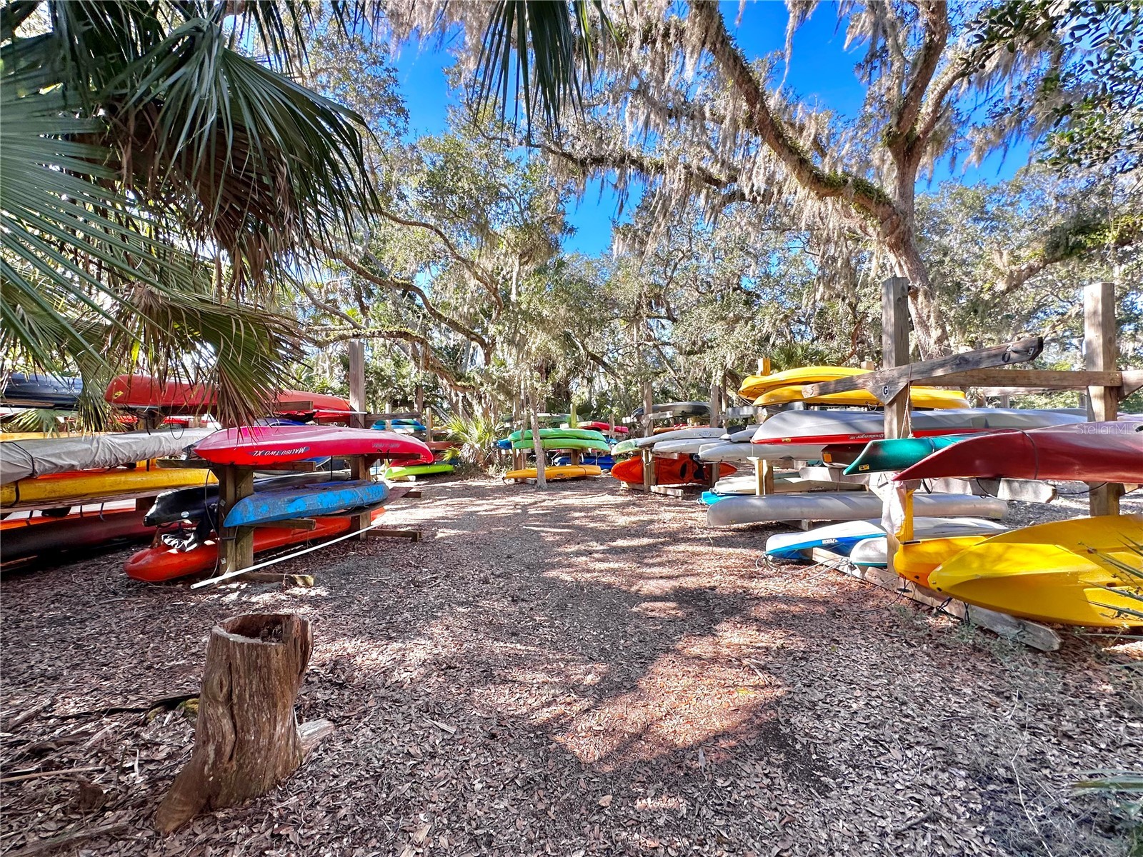 60 Surfview Drive #421 Palm Coast FL 32137 - ATLANTIC OCEAN & ICW FC319618 image45