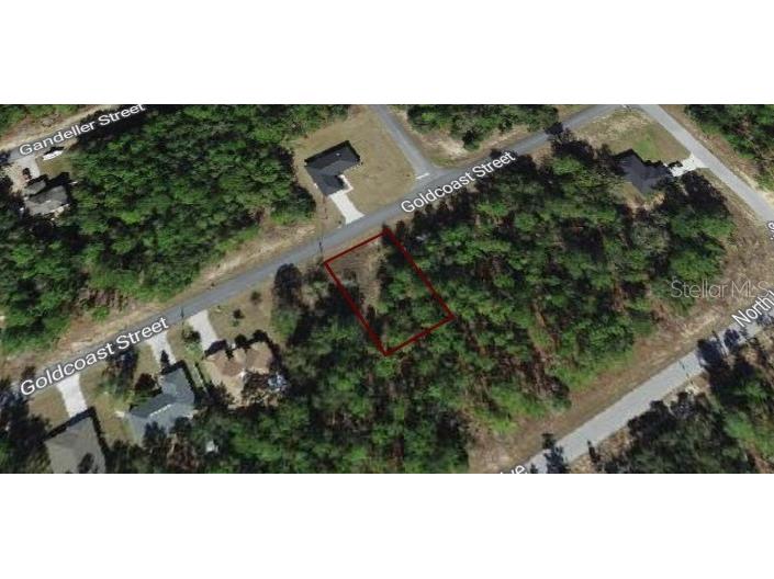 60 W Goldcoast Place Citrus Springs FL 34434 O6251150 image1