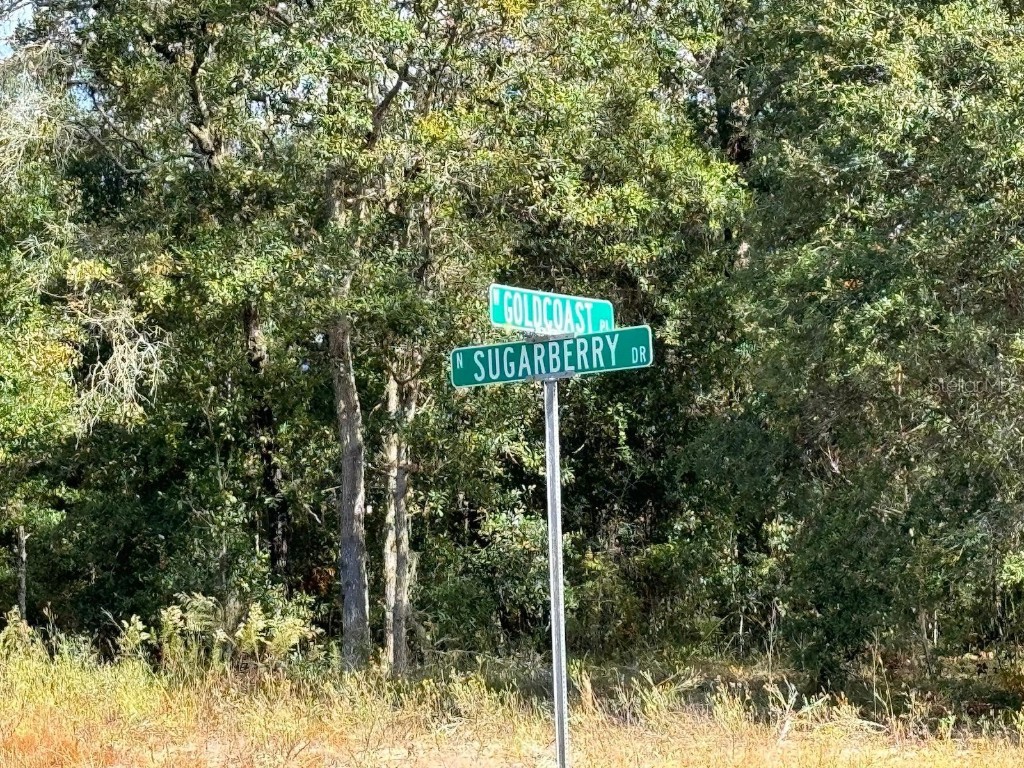 60 W Goldcoast Place Dunnellon FL 34434 O6257883 image1